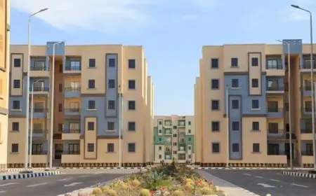 نتائج برنامج «سكن لكل المصريين 5»: تفاصيل هامة حول رسائل الأولوية للمستفيدين