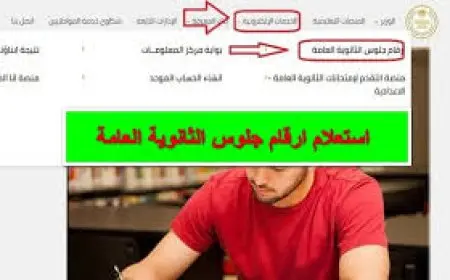 رقم جلوسك.. أرقام جلوس الثانوية العامة 2025 عبر موقع وزارة التربية والتعليم