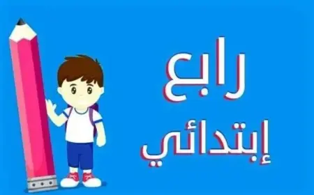 نتيجة الصف الرابع الابتدائي 2024 الترم الثاني.. خطوات الاستعلام برقم الجلوس والأسم