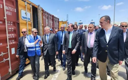 وزير المالية يكشف عن خطط لتقليل زمن وتكاليف الإفراج الجمركي لتحسين الاقتصاد