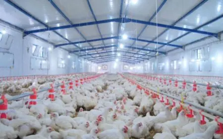 “أكثر من 200 مربي صغير يحصلون على تصاريح زراعية لمزاولة نشاطهم في مايو 2023”