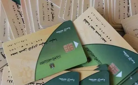 “كيفية إضافة المواليد على بطاقة التموين 2025: الشروط والخطوات الشاملة لتحسين دعمك المالي”