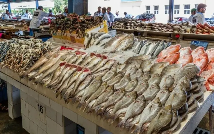 زيادة أسعار الأسماك اليوم الأحد في أسواق الإسكندرية.. سعر البوري يصل إلى 140 جنيهاً للكيلو