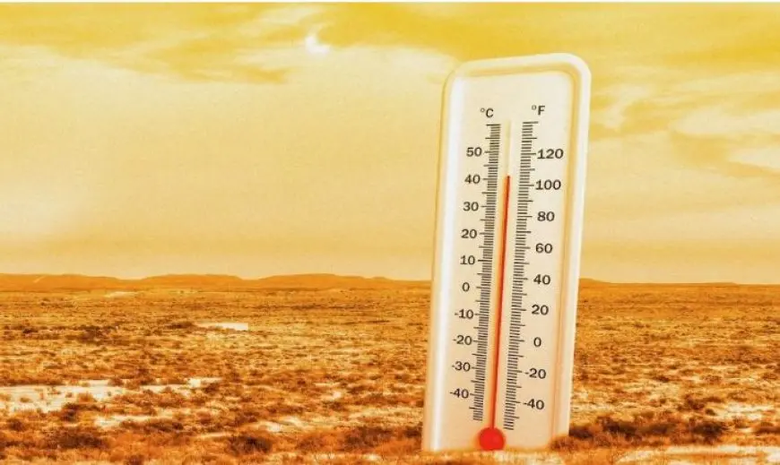 استعدوا! غدًا يوم انخفاض الحرارة الكبير بعد ذروة الموجة الحارة!