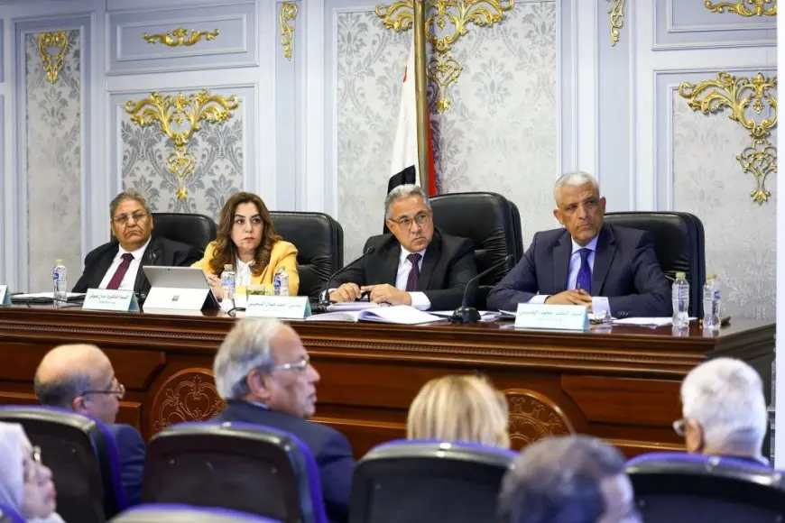 وزيرة التنمية المحلية تكشف عن خطة سرية لتحفيز القطاع الخاص على الاستثمار في مشاريع البنية التحتية