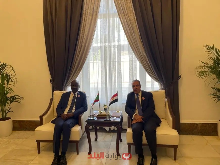 لقاء وزير الخارجية العربي في موريتانيا.. ماذا جرى على هامش التحضيرات للقمة؟