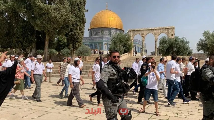 تكشف إسرائيل عن خطتها السرية لتهجير الفلسطينيين باستخدام ضرائب باهظة!