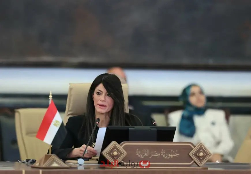 وزيرة التخطيط تحدث عن خطة التنمية لمصر في قمة بغداد!