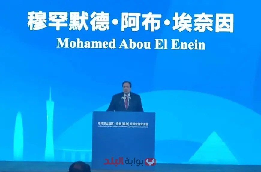 ابو العينين يكشف النقاب عن فرص الاستثمار المذهلة في مصر أمام رجال الأعمال الصينيين