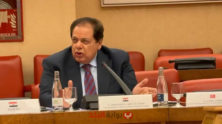 ابو العينين يكشف النقاب عن الفرص الاستثمارية المغرية في مصر أمام رجال الأعمال الصينيين!