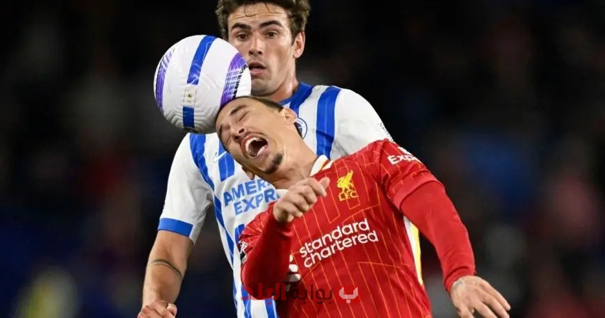 برايتون ينهى سلسلة ليفربول unbeaten الممتدة لـ 156 مباراة بعد تقدمه