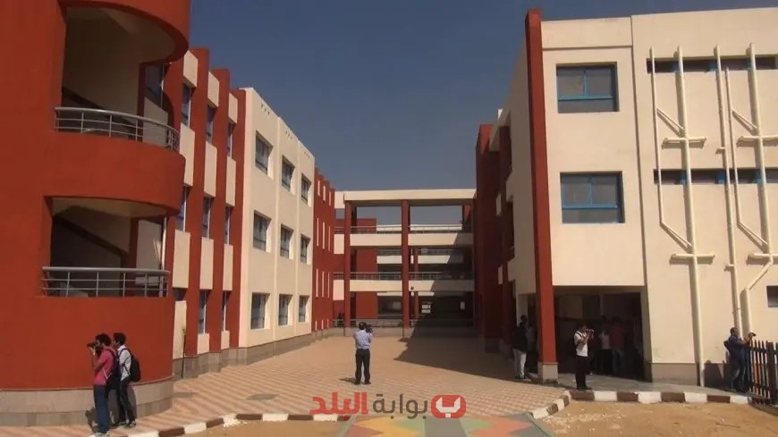 الفرصة التي لا تعوض: كل ما تحتاج معرفته للتقديم لوظائف المدارس اليابانية!