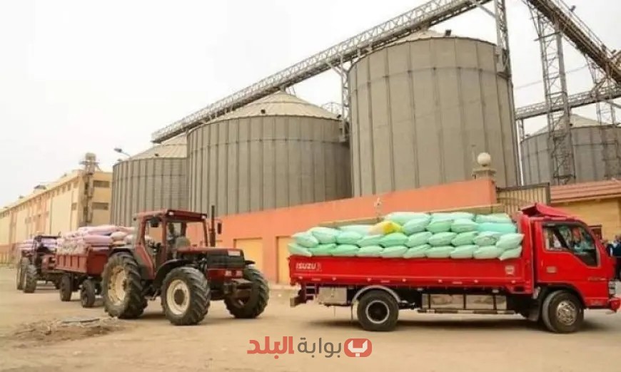 “إسماعيلية تحقق إنجازاً ملفتاً بتوريد 37 ألف طن من القمح! اكتشف التفاصيل الآن”