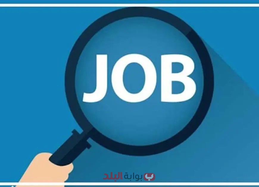 وظائف ساخنة متاحة الآن في شركة جنوب الدلتا للكهرباء! اكتشف التفاصيل الكاملة هنا