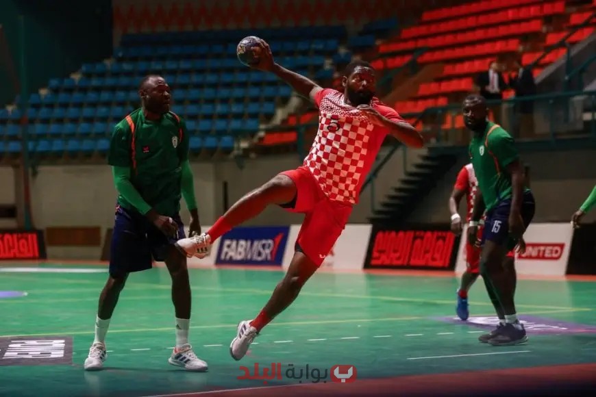 كوبا كأس اليد الإفريقية: فانز الكاميرون يتصدرون الترتيب بالمركز التاسع! شاهد الفيديو الرهيب للحدث!