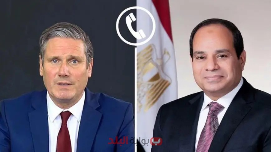 فيديو: الرئيس السيسي يتحدث بالهاتف مع رئيس وزراء بريطانيا!