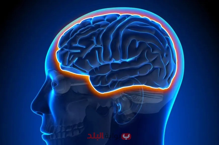 مفاجأة! توجيهات عاجلة من الأعلى للإعلام بشأن محتوى الأورام في الإعلام