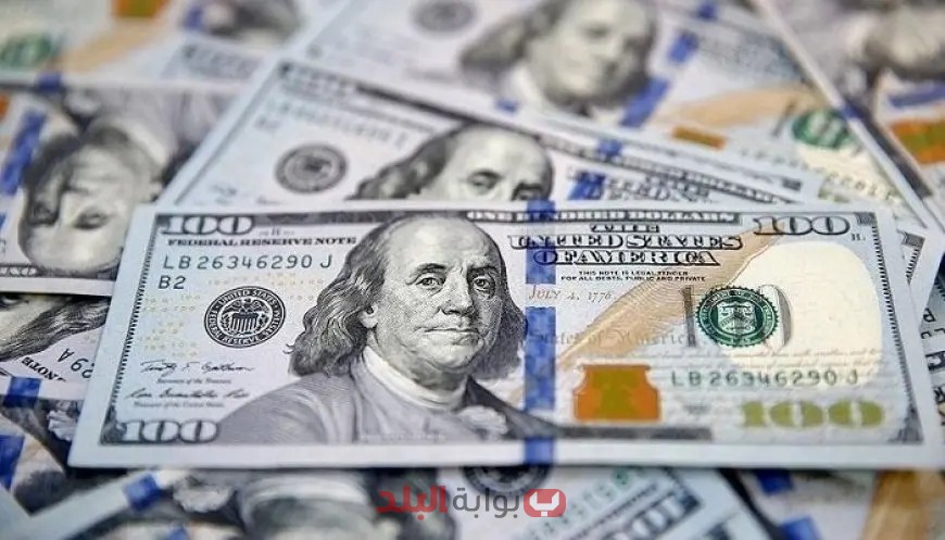 كل ما تحتاج معرفته عن اسعار الدولار امام الجنيه بعد خفض البنك المركزي للفائدة!
