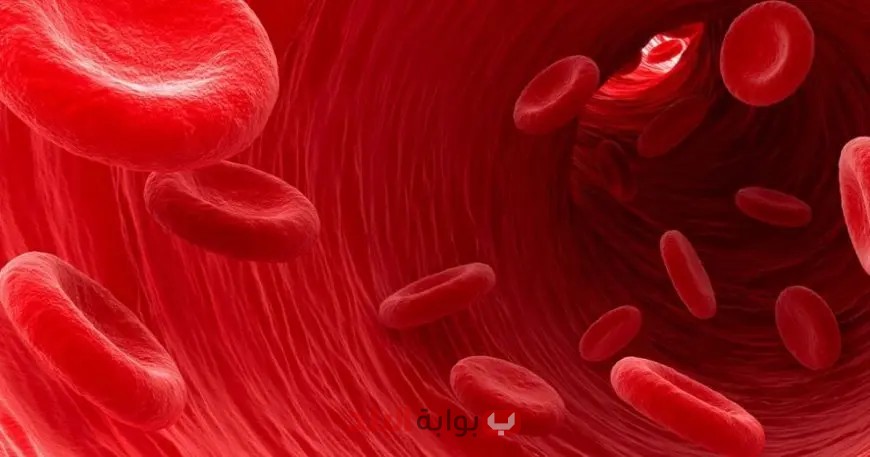 هل تعتبر سرعة الترسيب بمؤشر على خطورة المرض؟ اكتشف ما قاله الخبير!