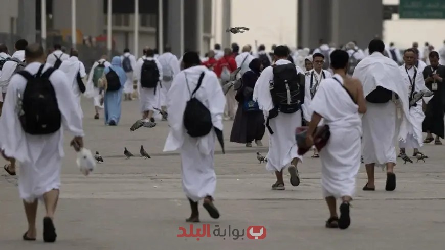 بالصور: حجاج بعثة القرعة يستعدون لوداع المدينة المنورة بخدمات متميزة!