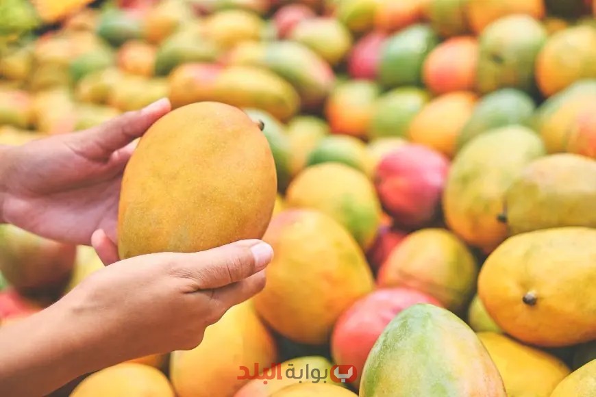 هل تفاجأت مصر باستوراد عصير المانجو بمبلغ خيالي؟ تعرف على الجواب من مستشار رئيس الوزراء!