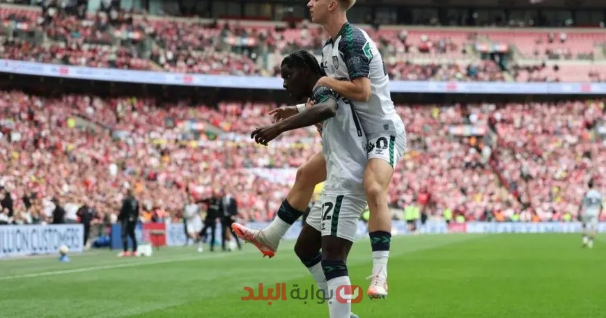 سندرلاند يتأهل إلى الدوري الإنجليزي الممتاز بعد غياب 8 سنوات