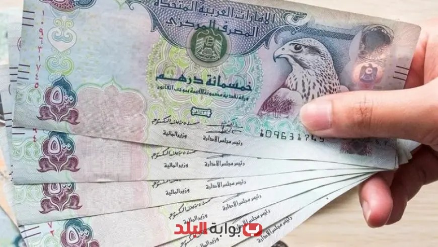 سعر صادم للدرهم الإماراتي مقابل الجنيه اليوم: تعرف عليه الآن في 6 بنوك!