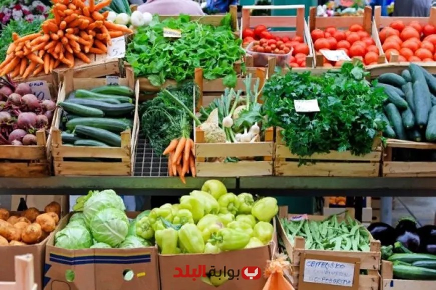 أخبار ساخنة: تعرف على أسعار الفواكه والخضروات اليوم! سعر الليمون يثير الجدل بـ 35 جنيها!