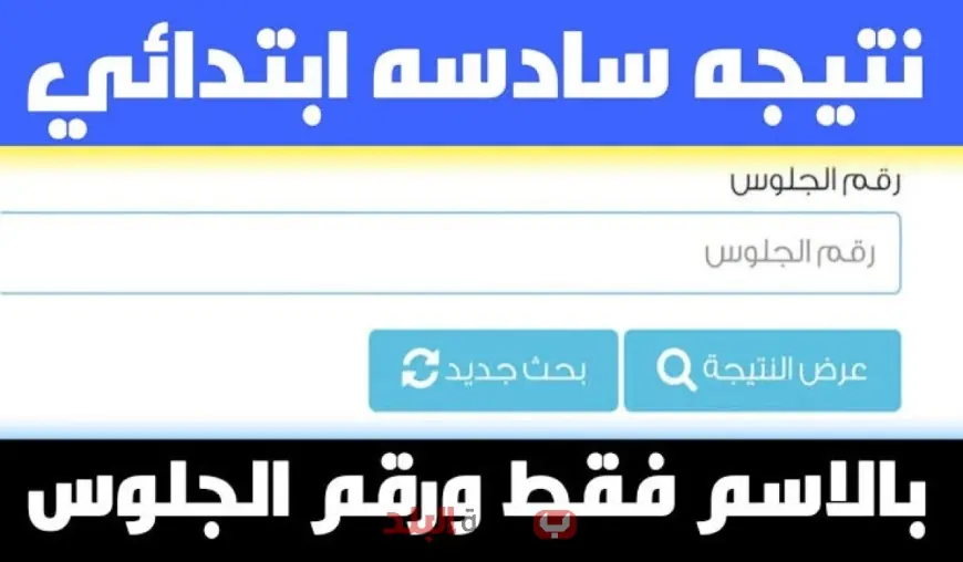 نتيجة الصف السادس الابتدائي بالدقهلية 2025 الترم الثاني ورابط مباشر للاستعلام برقم الجلوس وبالاسم فور ظهورها