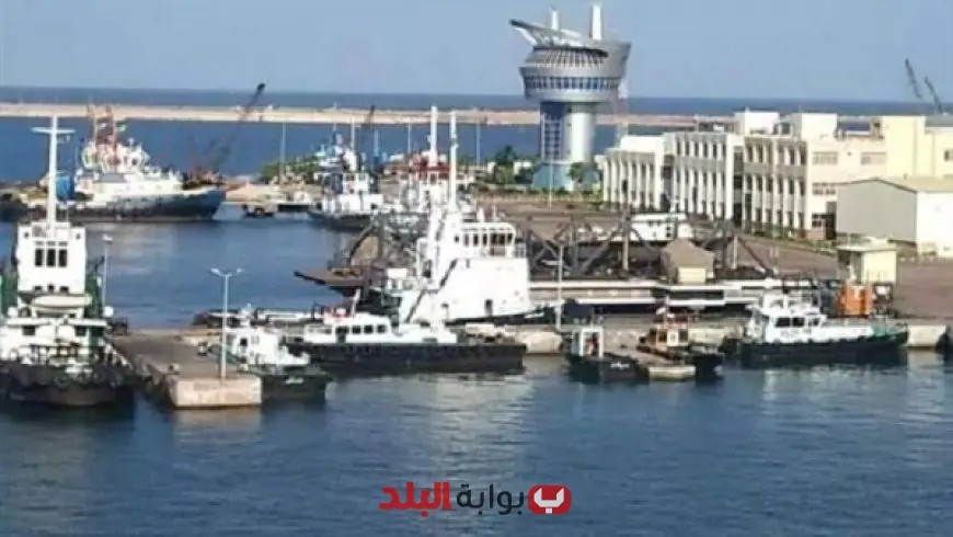 صور: ميناء دمياط يحقق رقماً قياسياً باستقبال 27 سفينة خلال يوم واحد!