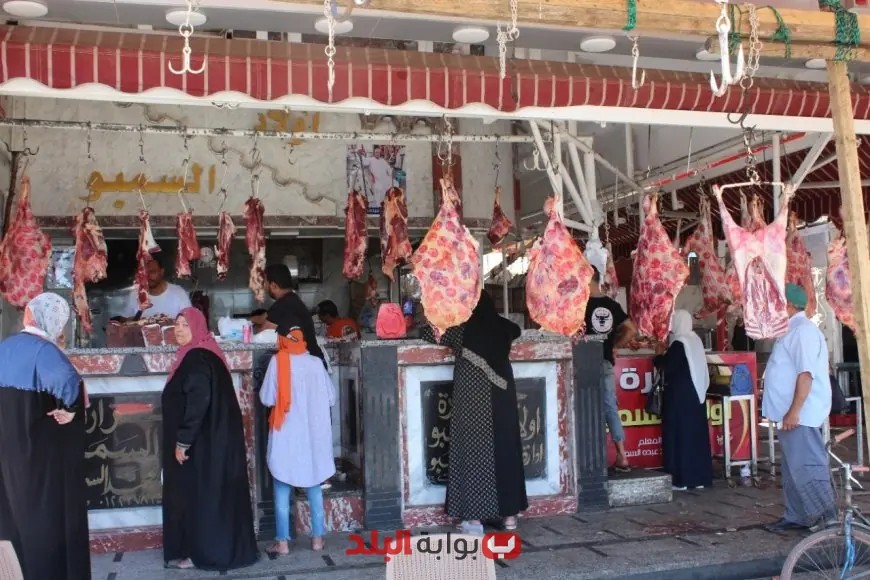 أسعار الأضاحي واللحوم البلدي والمستوردة في مصر قبيل عيد الأضحى: الكيلو بـ 190 جنيها! تعرف على التفاصيل!