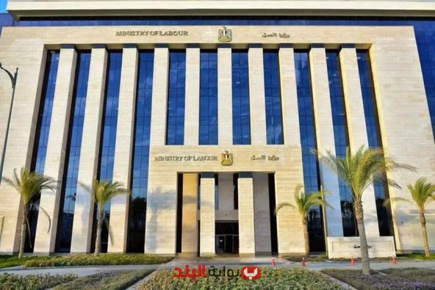 “وزارة العمل تصدر بياناً عاجلاً حول حادثة تعنيف عامل في فيديو شهير بمسؤول سعودي”
