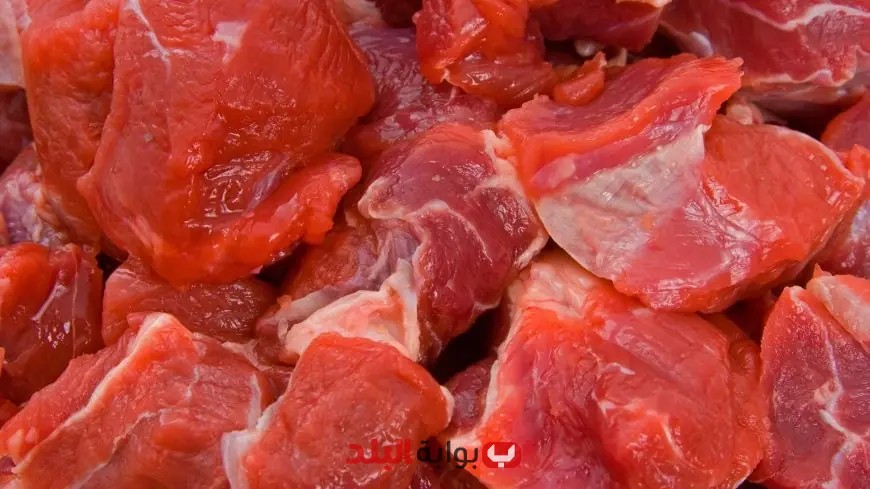وزير الزراعة يعلن عن استيراد 150 ألف طن من اللحوم المجمدة و220 ألف رأس لتوفيرها بأسعار منخفضة للمستهلكين
