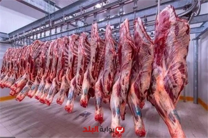 أسعار اللحوم في الأسواق قبل عيد الأضحى: شعبة القصابين تكشف التفاصيل المهمة