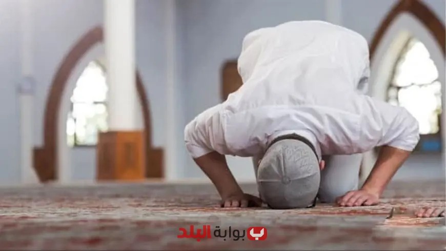 “دار الإفتاء توصي بتقليل استخدام وسائل التواصل الاجتماعي وزيادة العبادة في العشر الأواخر من رمضان”