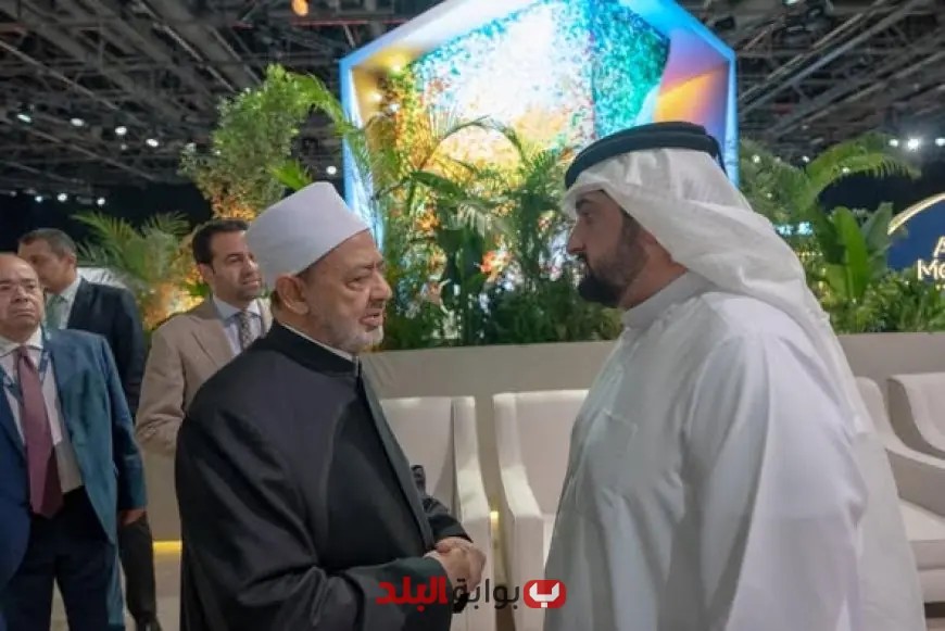 شيخ الأزهر: أهمية تمكين الشباب في تحقيق السلام واستدامته