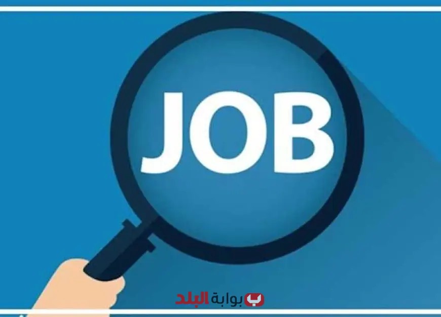 وظائف وزارة العمل للخريجين: إليك جميع التفاصيل وشروط التقديم المطلوبة!