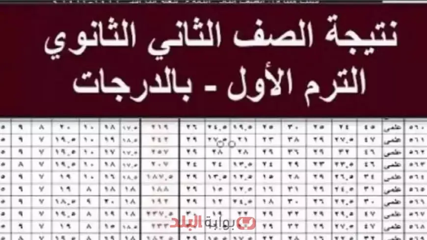 نتيجة الصف الثاني الثانوي 2025 محافظة الغربية.. التفاصيل الكاملة ورابط الاستعلام نتيجة اولى ثانوي برقم الجلوس وبالاسم