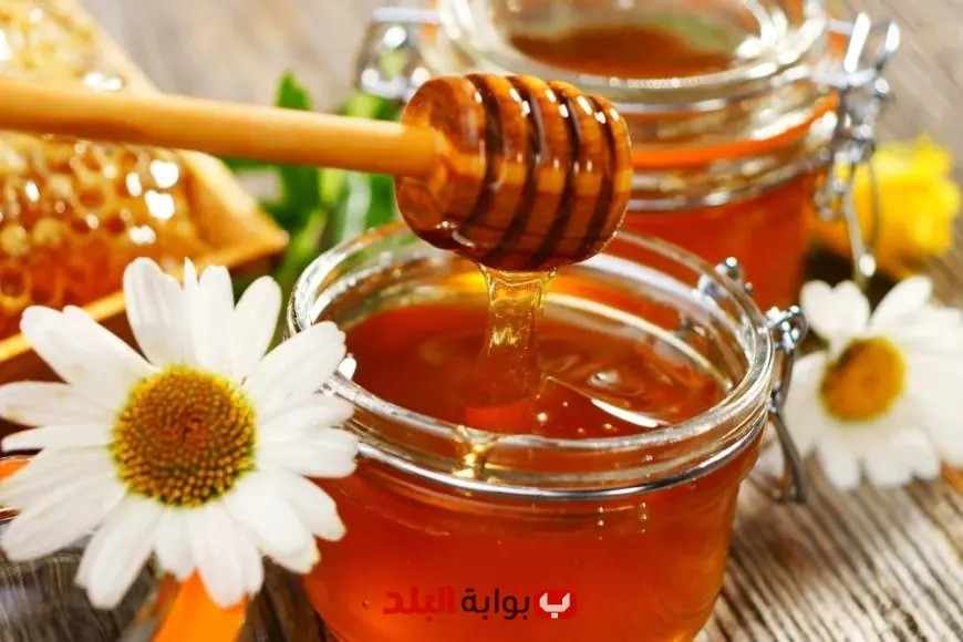 الحكومة تصدر أول بيان رسمي حول أزمة انتشار عسل النحل المغشوش في الأسواق