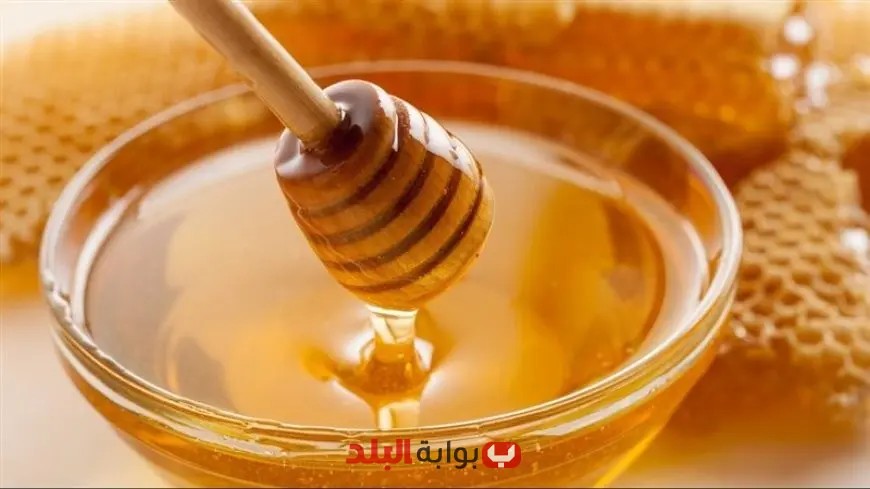 الحكومة تكشف حقيقة انتشار «عسل مغشوش» في الأسواق المصرية وطرق التفريق بينه والعسل الأصلي