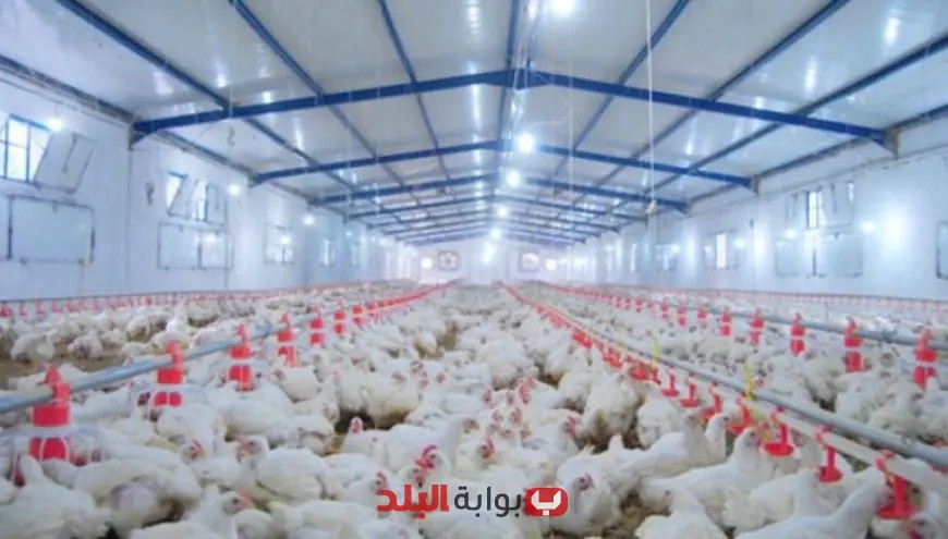 “أكثر من 200 مربي صغير يحصلون على تصاريح زراعية لمزاولة نشاطهم في مايو 2023”