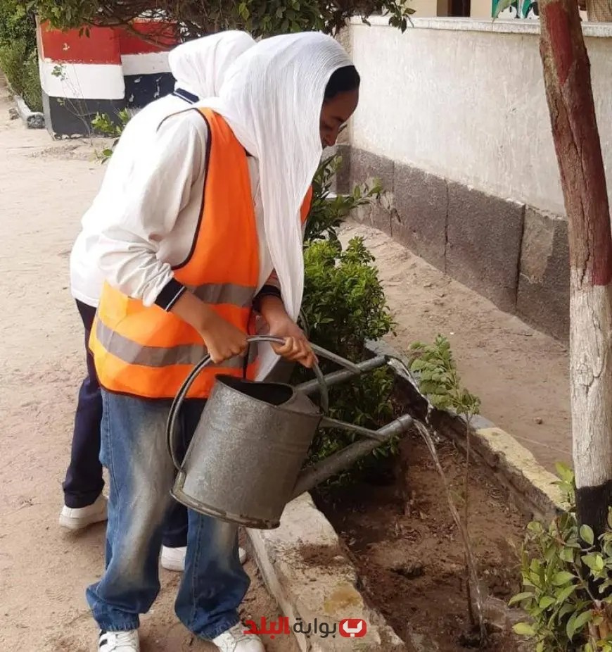محافظ أسوان يوجه بالاستمرار في زراعة أشجار الظل بالمدارس ومراكز الشباب لمكافحة ارتفاع درجات الحرارة