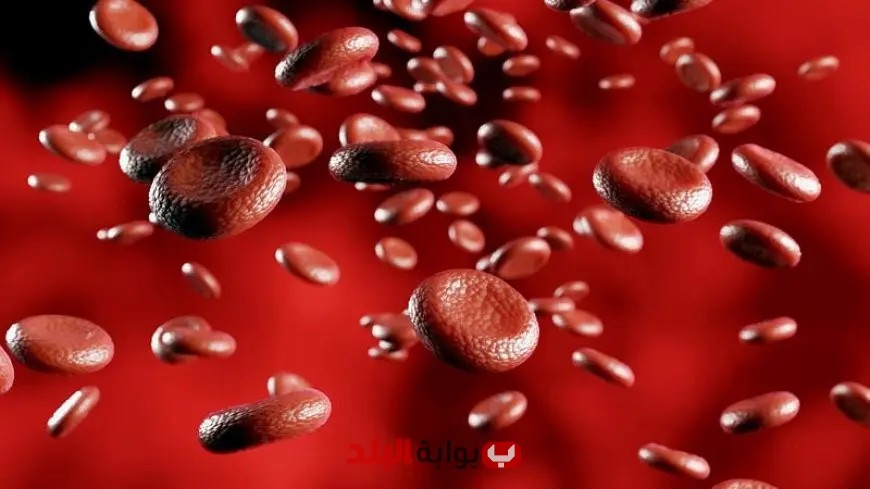 “حسام موافي يحذر: احذروا أعراض الأنيميا التي قد تشير إلى 14 سببًا خطيرًا!”