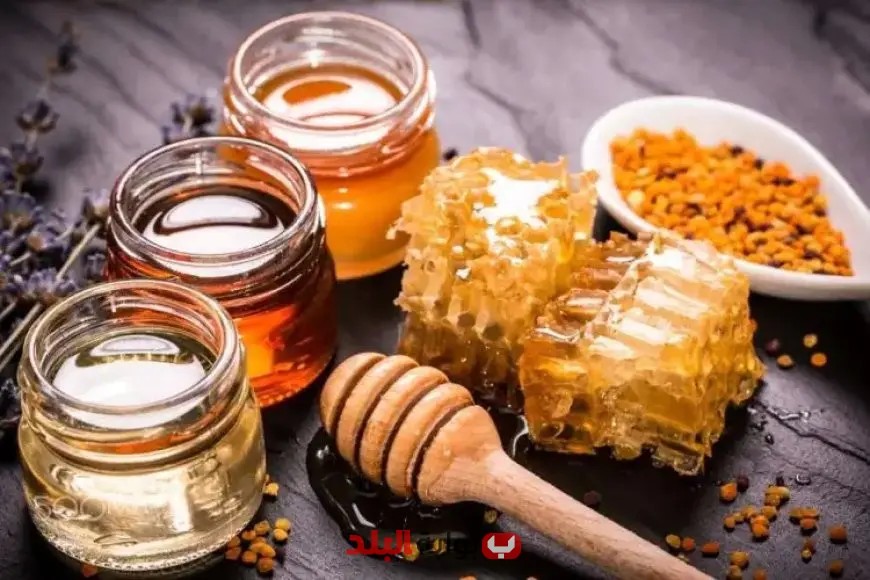 خبير نحل يسلط الضوء على أفضل أنواع العسل وفوائدها الصحية الرائعة للجسم