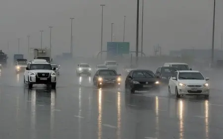 “بعد عاصفة الإسكندرية.. تعرف على تفاصيل طقس الأحد ودرجات الحرارة من الأرصاد الجوية”