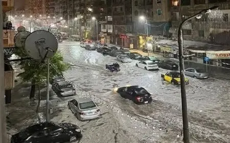 عاصفة الإسكندرية تترك أثرًا مدمرًا: الحكومة تكشف عن خسائر سقوط الأعمدة والعقارات