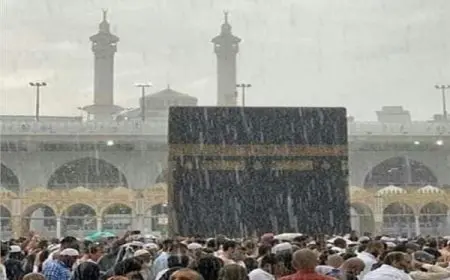 “رئيس بعثة القرعة يعلن: نجاح تفويج الحجاج من المدينة المنورة إلى مكة المكرمة”