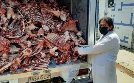 رفع حالة التأهب القصوى في جميع المجازر الحكومية استعدادًا لفحص الأضاحي