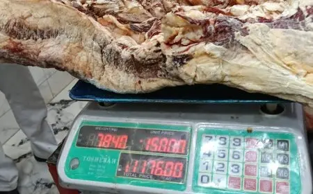 الزراعة تكشف عن ضبط 107 طن من اللحوم الفاسدة قبل عيد الأضحى: تفاصيل مثيرة حول سلامة الغذاء
