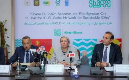 وزيرة البيئة تُعلن انضمام شرم الشيخ كأول مدينة مصرية خضراء إلى شبكة ECLEI الدولية: خطوة نحو الاستدامة البيئية!